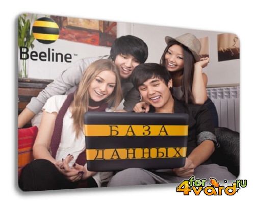   Beeline 2014RU