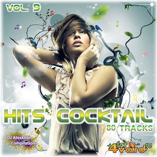 Hits Cocktail Vol.9 (2014)