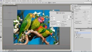 Adobe Photoshop CC 2014 (2014) PC | RePack by D!akov