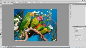 Adobe Photoshop CC 2014 (2014) PC | RePack by D!akov