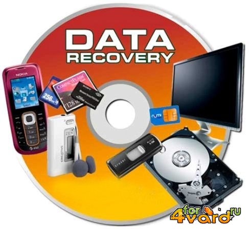 Raise Data Recovery for FAT/NTFS 5.15.2 (2014) 