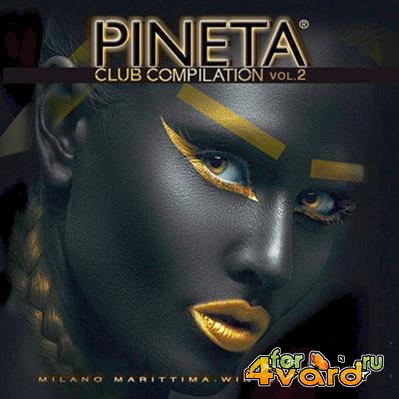 Various Artists - Pineta Club Compilation 2 (2014)