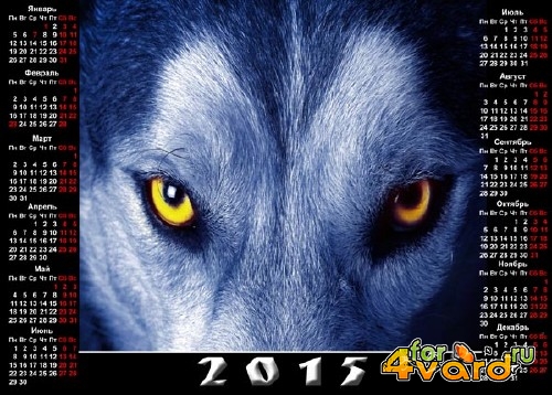  Календарь на 2015 год - Волчий взгляд 