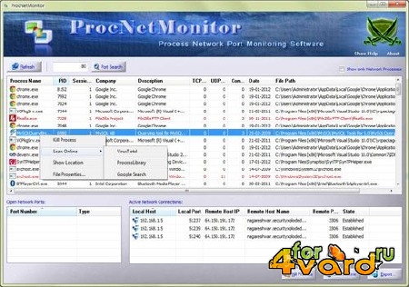 Proc Net Monitor 5.0 Portable