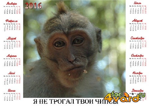  Настенный календарь - Веселая обезьяна 