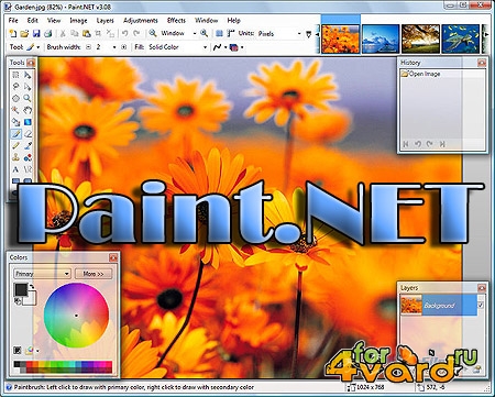 Paint.NET    ( Photoshop)