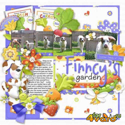  - - Finncys Garden 