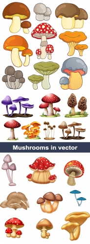    | Vector clipart Mushrooms