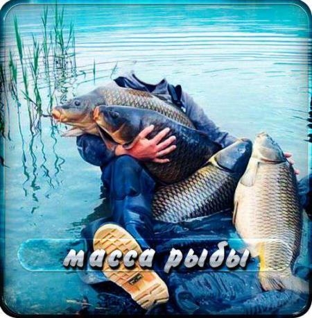 Мужской Шаблон psd - Масса класной рыбы