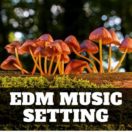 Dj Pacha - Edm Music Setting (2018)