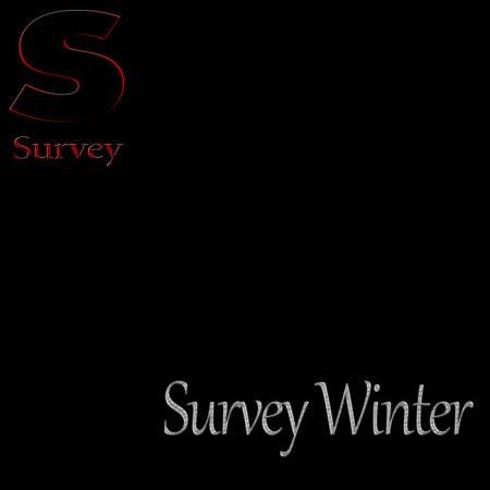 Survey Winter (2018)