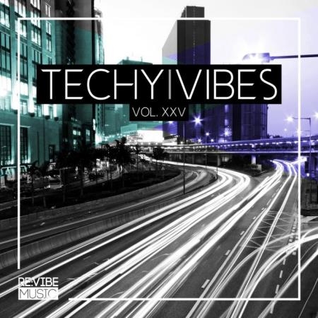 Techy Vibes, Vol. 25 (2019)