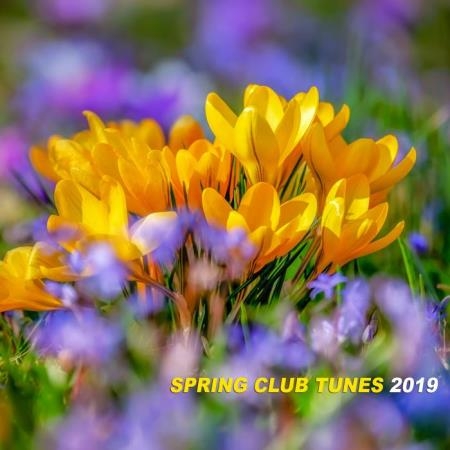 Spring Club Tunes 2019 (2019)