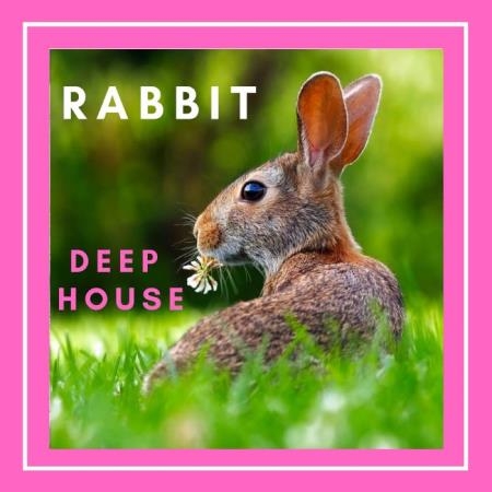 Sifare Dance Chillout - Rabbit Deep House (2019)