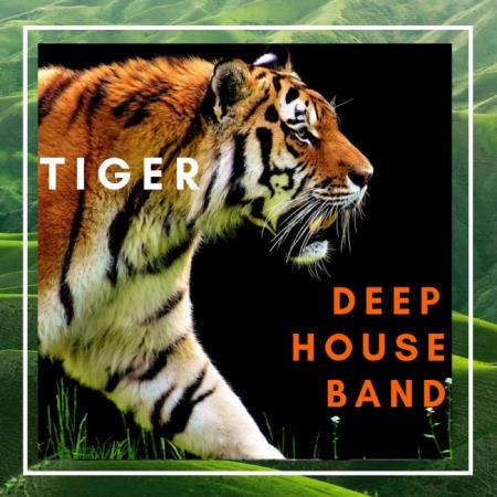 Tiger Deep House Band (2019)