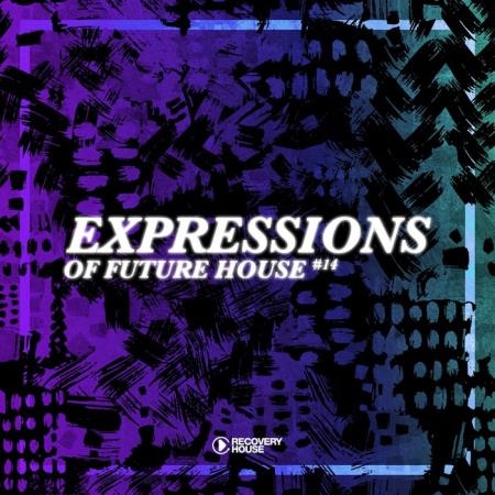 Expressions Of Future House, Vol. 14 (2019)