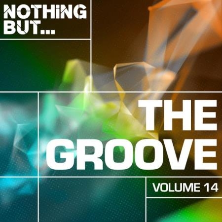 Nothing But... The Groove, Vol. 14 (2019)