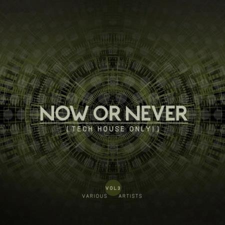 Now Or Never, Vol. 3 (Tech House ONLY) (2019)