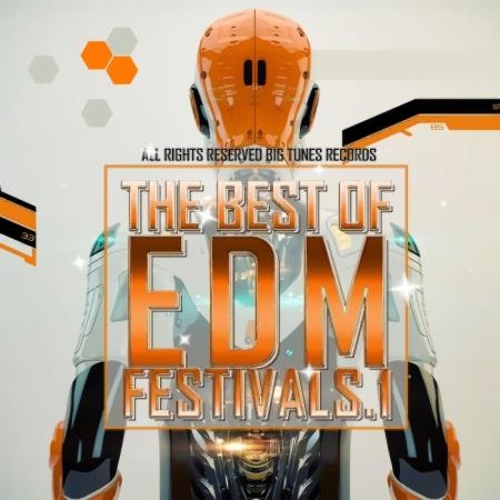 The Best Of EDM Festivals. 1 (2019)
