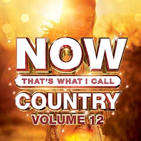 Now That's What I Call Country Vol 12 (2019) FLAC