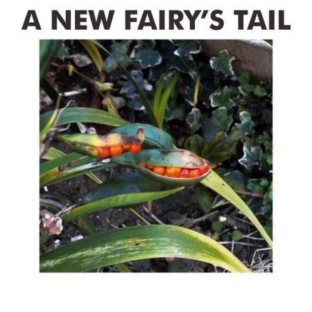 Srigala - A New Fairy's Tail (2019)