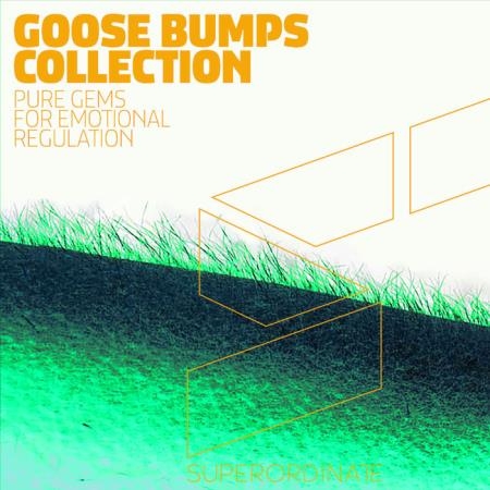 Proton LLC - Goose Bumps Collection (2019)