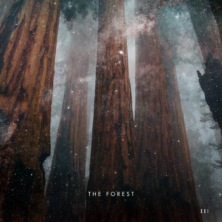 Nopi - The Forest (2019)
