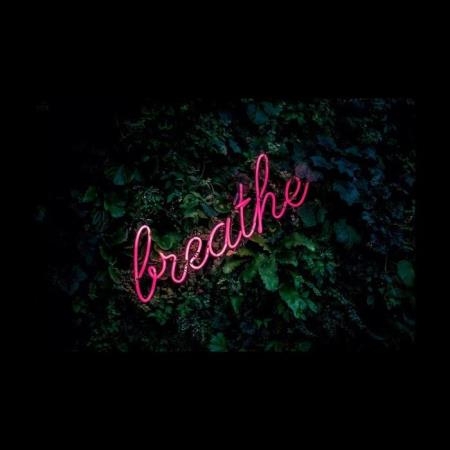 The Audible Doctor - Breathe. (2019)