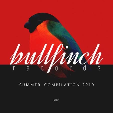 Bullfinch Summer 2019 Compilation (2019)