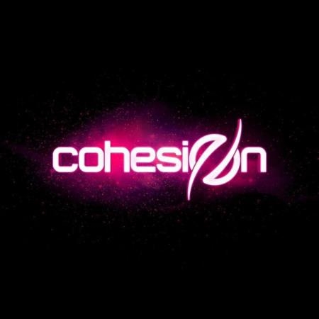 Cohesion Records Volume 1 (2019)