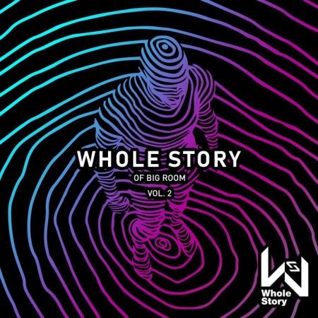 Whole Story Of Big Room Vol. 2 (2019)