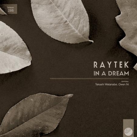 Raytek - In A Dream (2019)