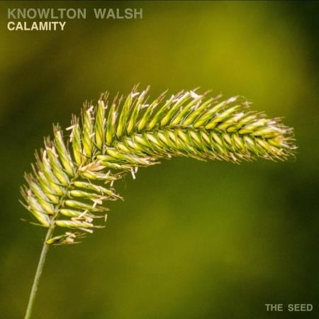 Knowlton Walsh - Calamity (2019)