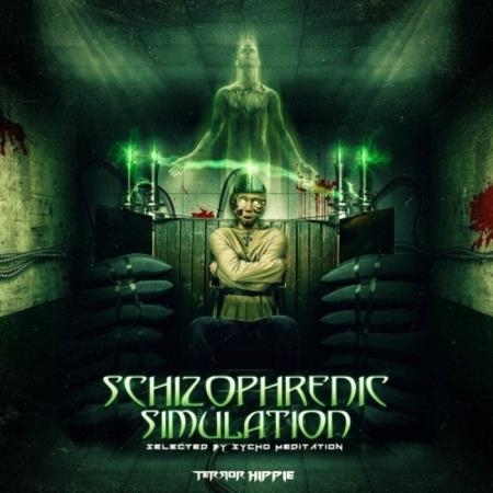 Schizophrenic Simulation (2019)