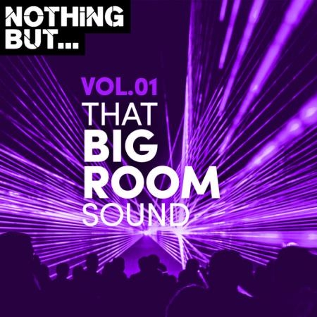 Nothing But... That Big Room Sound Vol 01 (2019)