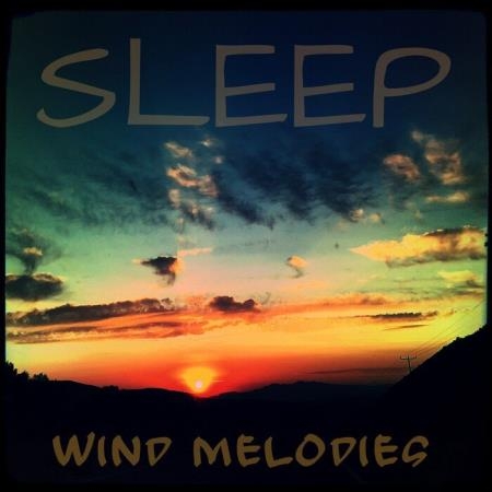 Reina Jayne Juno - Sleep Wind Melodies (2019)