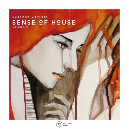 Sense Of House, Vol. 45 (2019)
