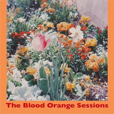 Wild Cat Strike - The Blood Orange Sessions (2019)