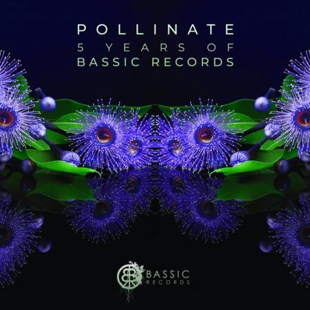 Pollinate (5 Years of Bassic Records) (2019)
