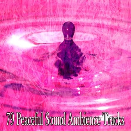 Zen Therapies - 79 Peaceful Sound Ambience Tracks (2020)