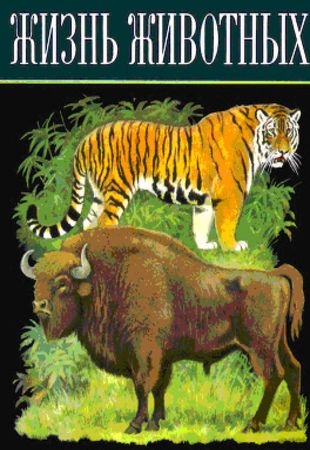 Л.А.Зенкевич Ред. - Жизнь животных в 6 томах (1971)