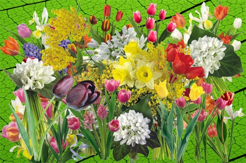 Клипарт Ранние весенние цветы 