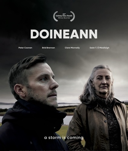  / Doineann (2021) WEB-DLRip